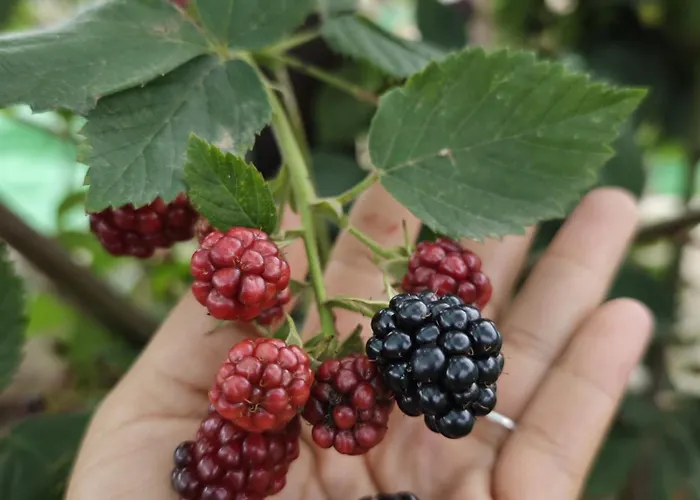 Angel's House Casa vacanze