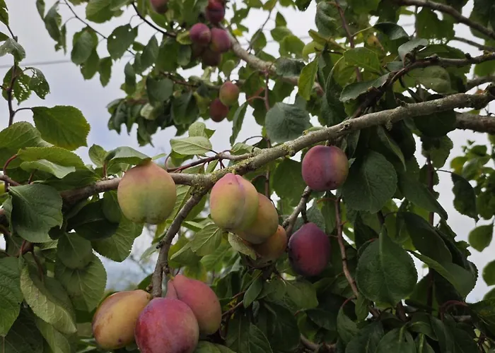 Angel's House Casa vacanze *